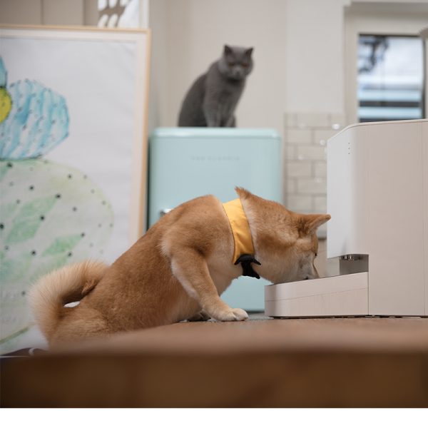 XIAOMI SMART PET FOOD  FEEDER - Image 10