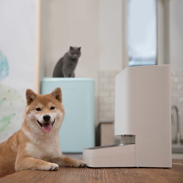 XIAOMI SMART PET FOOD  FEEDER - Image 5